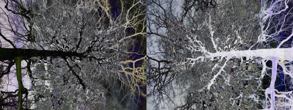 Sonia Mehra Chawla, Heterotopic Transitions, 2013