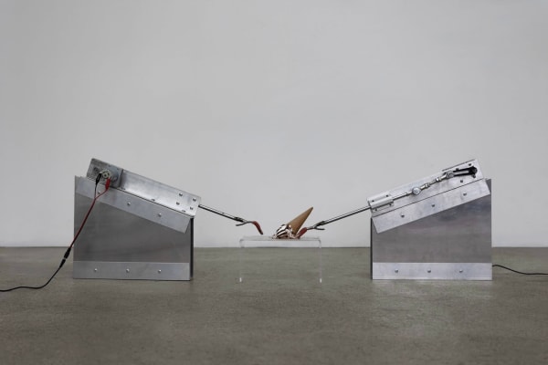 Louise Wan - MOUTHLESS, 2024