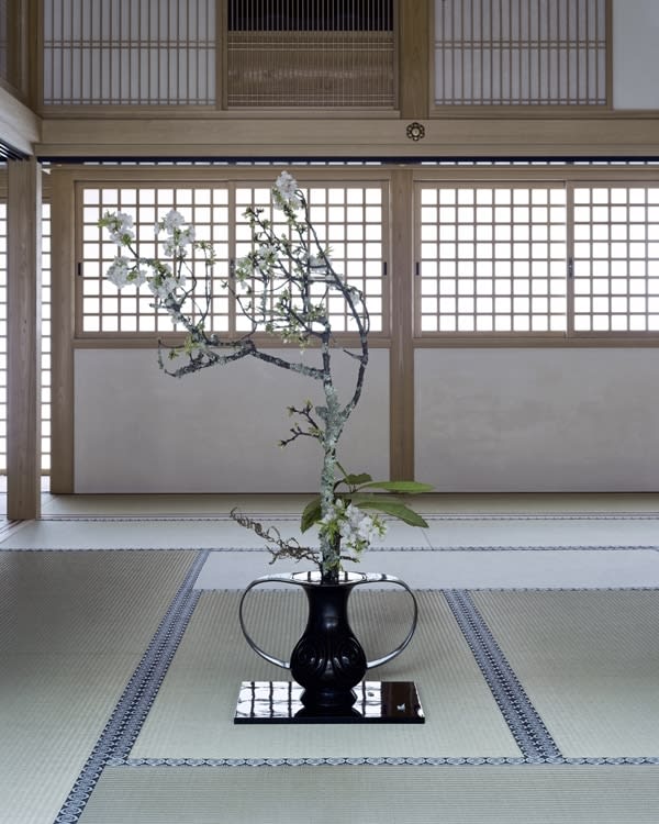 anothermountainman (Stanley Wong), reborn ikebana - 06A by anothermountainman (Stanley Wong) x Shuho, 2011