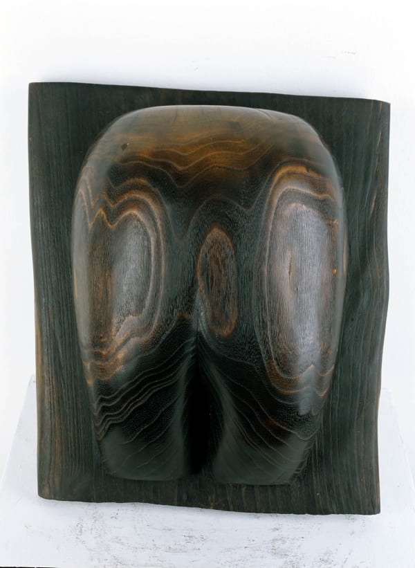 Wang Keping, Fesse, 1998