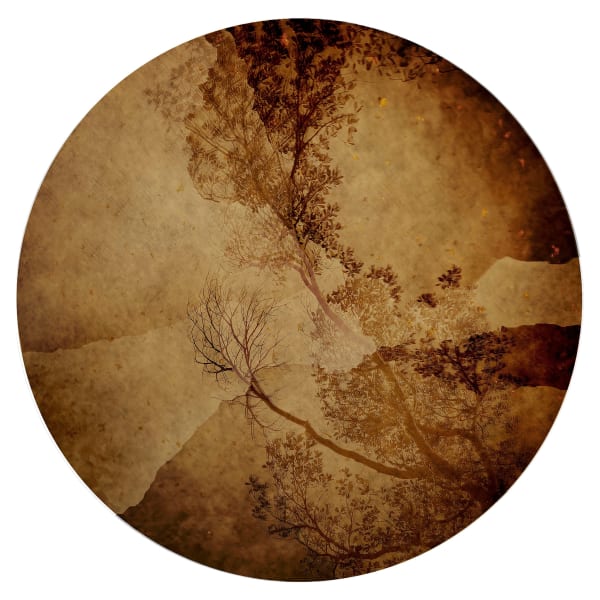 Lily Leung, Nexus, 2018