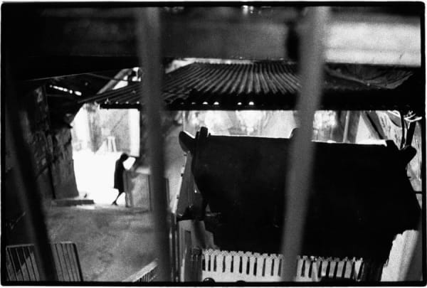 Serge Clément, Nuit Encens, 2001