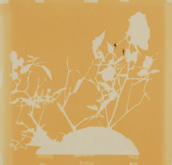 Carol Lee Mei Kuen, Wonderland (13:00pm 03_02_09), 2009