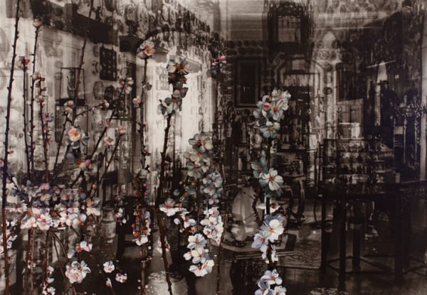 John Young, Marienbad, 2012