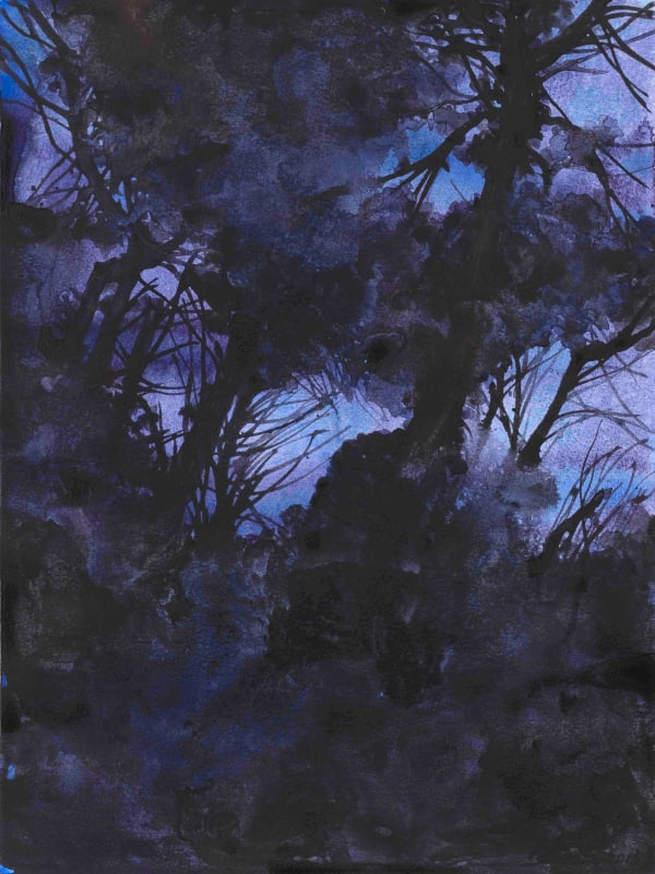 Pan Jian, Unimaginable Purple 2016-2, 2016
