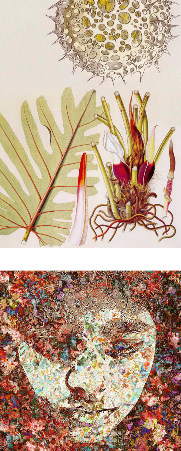 Sonia Mehra Chawla, History-Memory-Transfiguration: Signs of Skin 2, 2012