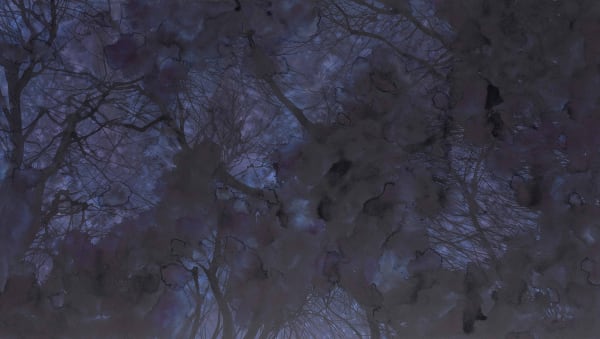 Pan Jian, Unimaginable Purple 2016-11, 2016