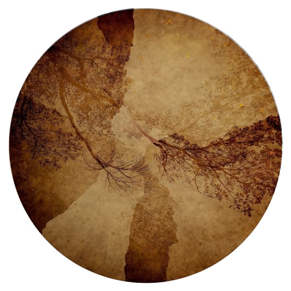 Lily Leung, Eclipse, 2018