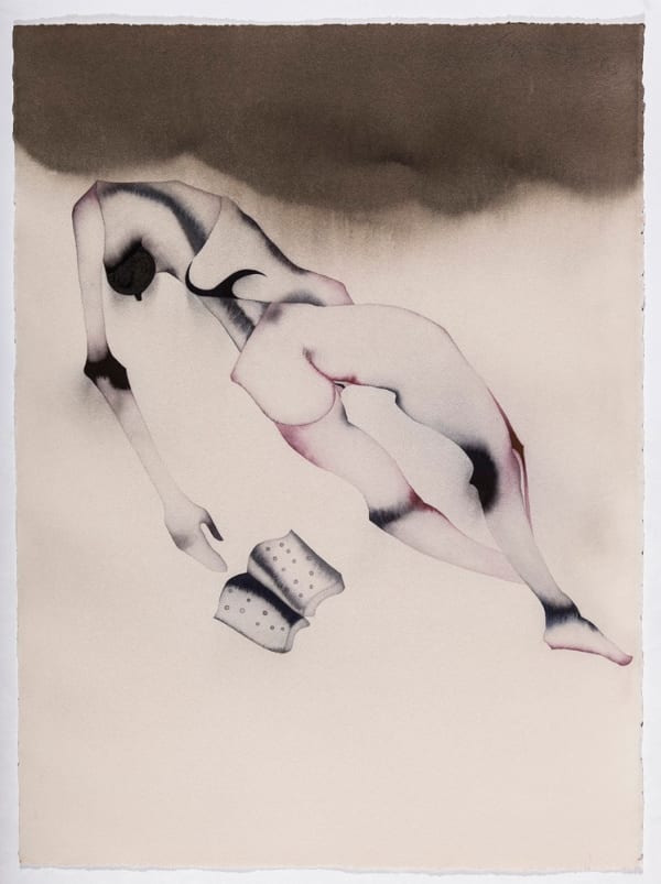 Atul Dodiya, Reader, 2013