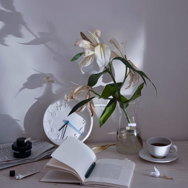 Wang Ruonan, IMPERMANENCE, Photo 5, 2018