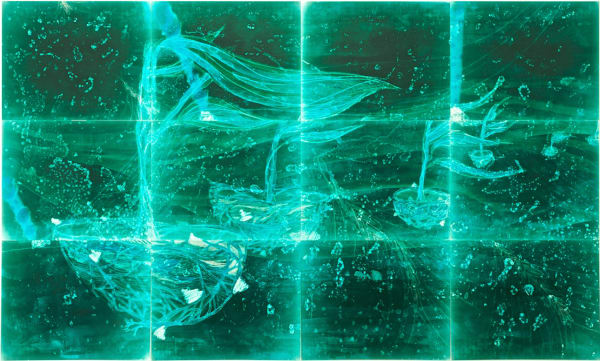 Christine Nguyen, Sailing to the Kelp Forest