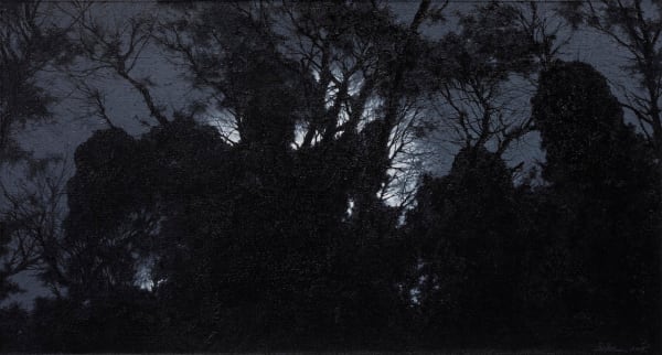 Pan Jian, Shadow of Light 5, 2015