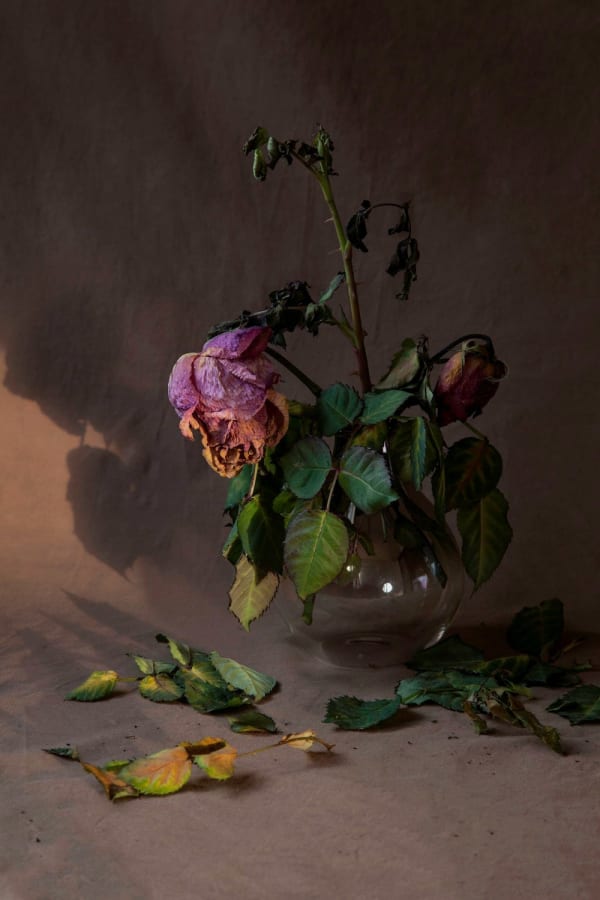 Wang Ruonan, IMPERMANENCE, Photo 4, 2018