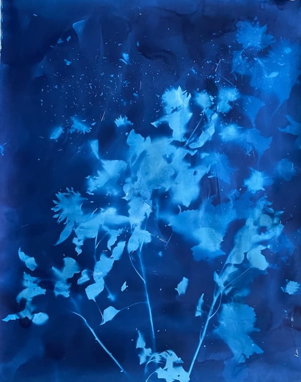 Christine Nguyen, Sunflowers, Stars and Constellations 2021-1, 2021