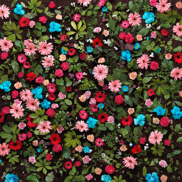 Eason Tsang, Floral Fabric #5, 2013