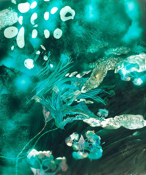 Christine Nguyen, Electric Gorgonians, 2009