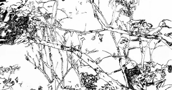Jonathan Kan - Squint Your Eyes To Get A Better Picture 目不暇給, 2025