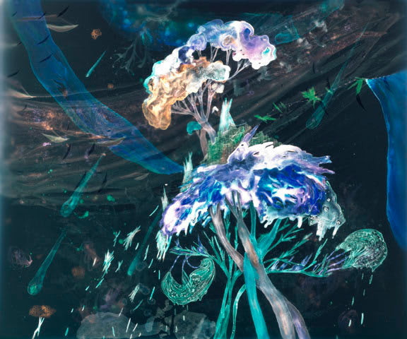 Christine Nguyen, Coma Clusters, 2009