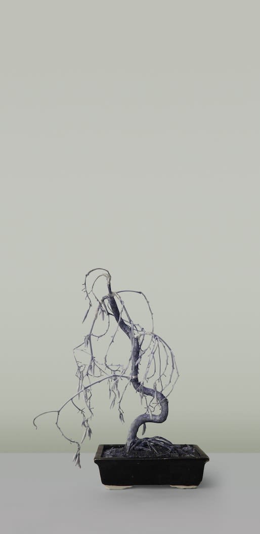 Avon Nga Fong LEE, Nicked Type Specimen III (Junzi Series), Pine, 2016