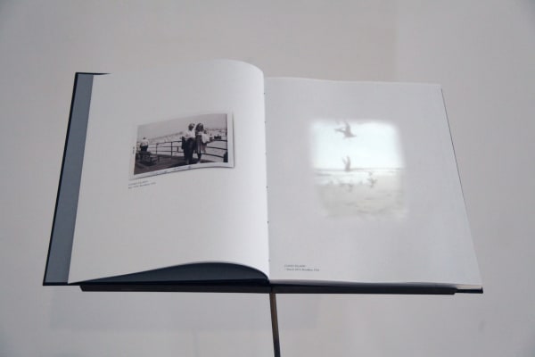 Ken Matsubara, Coney Island, 2014