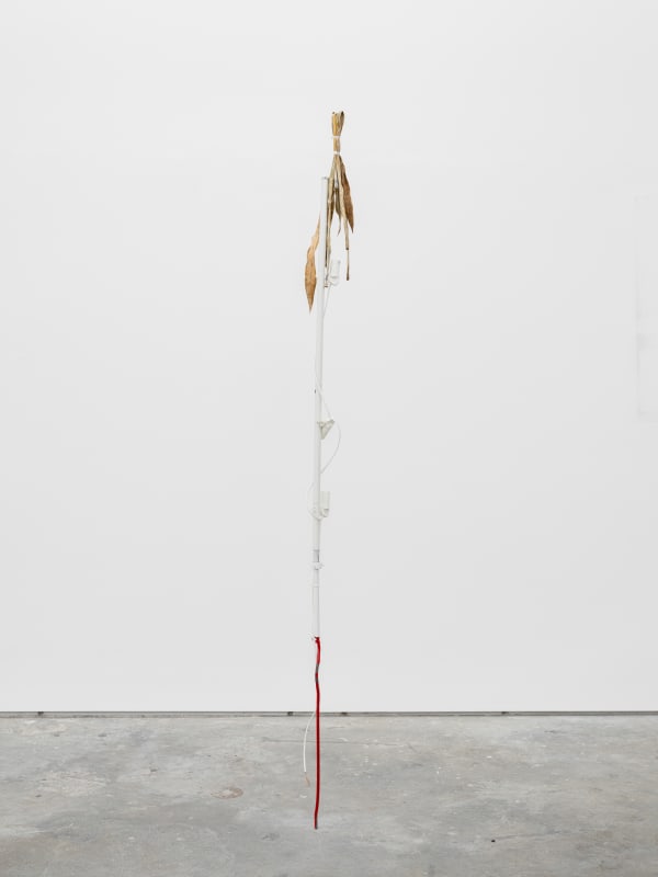 Maarten Van Roy, Arrow of Time (God Bleß) , 2024
