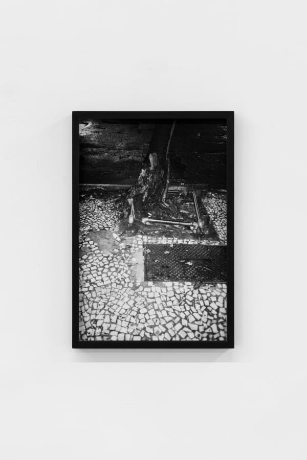 Nicolas Bourthoumieux, Deuxième Nature (III), 2023