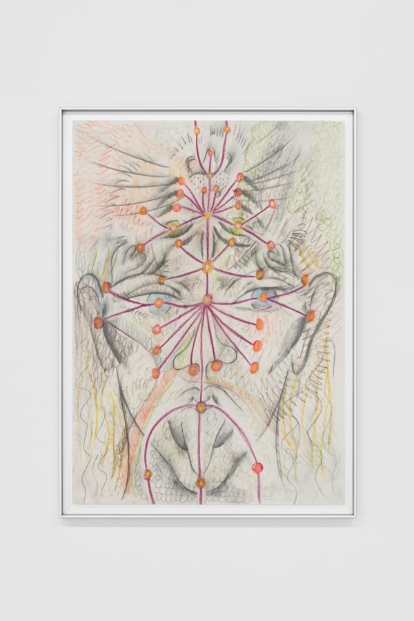 Jacopo Pagin, Connectact , 2024