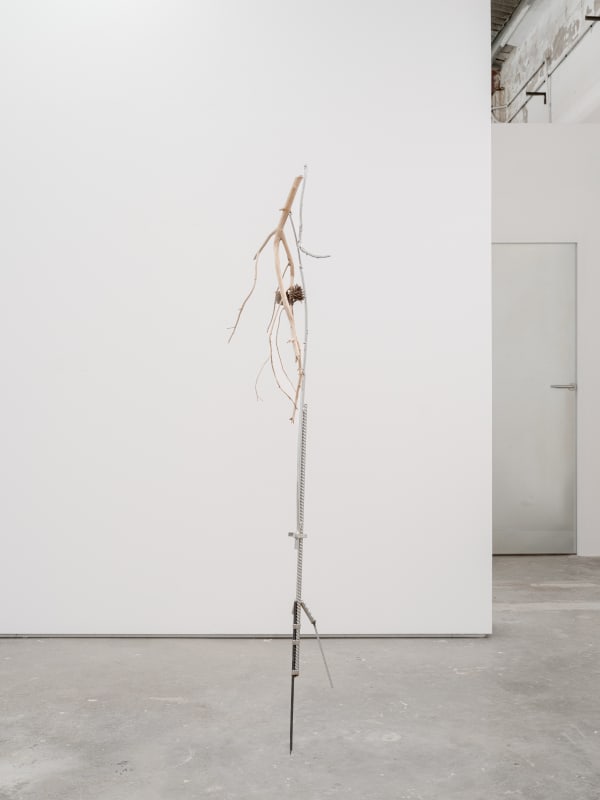 Maarten Van Roy - Arrow of Time (Twin Flame) , 2024