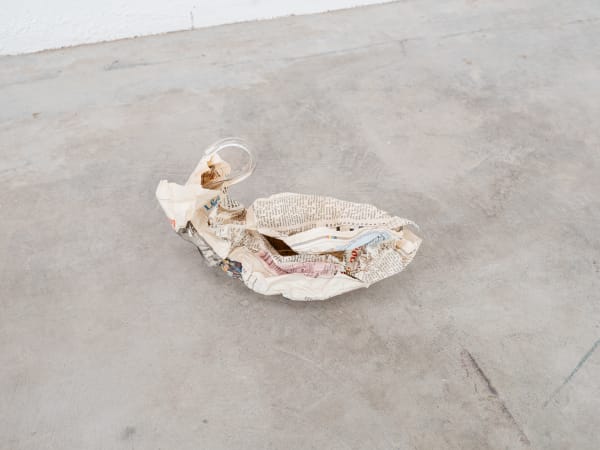 Maarten Van Roy, Swan Nebula (hΩme) , 2024