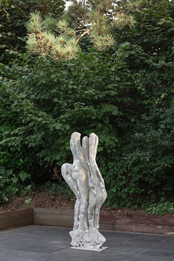 Sarah Caillard - 2023