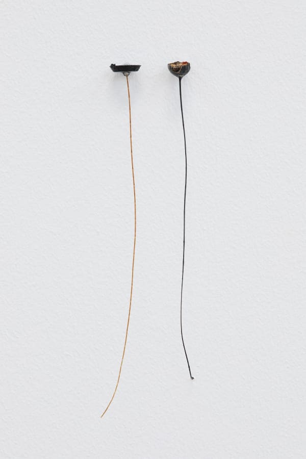 Luca Vanello, Taking refuge between blind actors, turgid stomata guide perspiring limb (Fragments 4), 2022