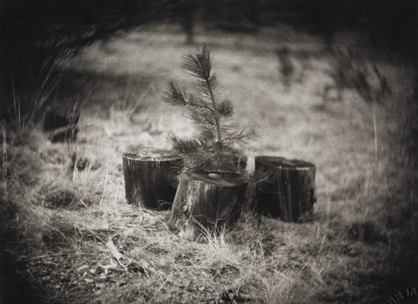 Quinn Jacobson, Circle of Life, 10.08.2022