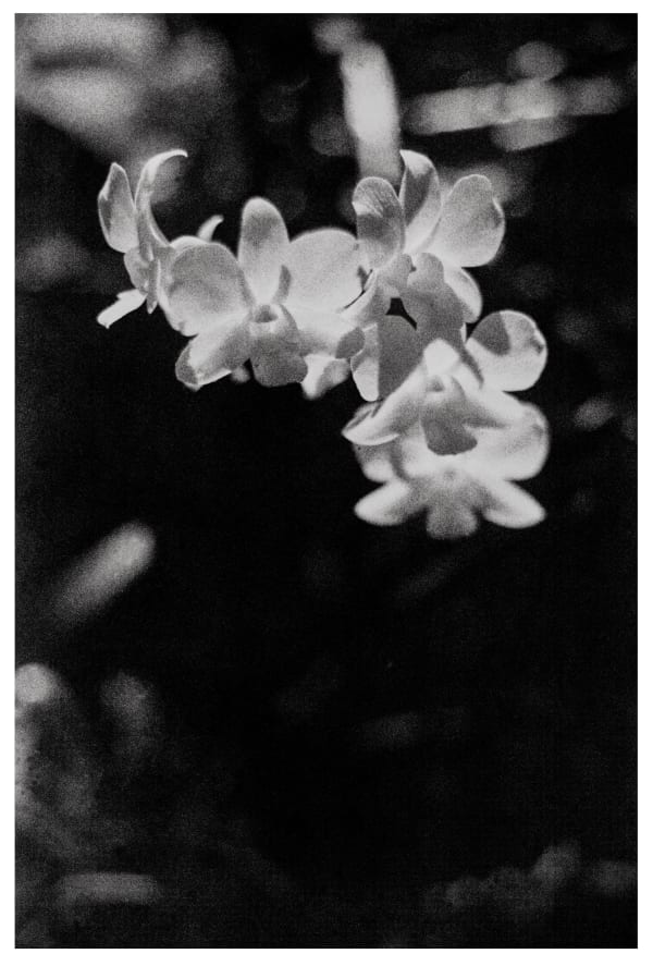 Adler Guerrier, Untitled (Inhabit blck to discern elsewhere, otherwise, notions of the possible), 2025