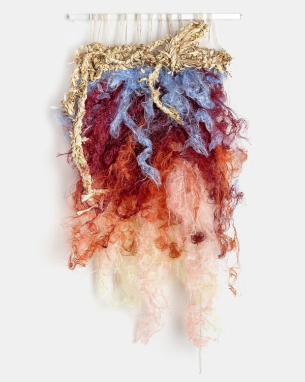 Zoila Andrea Coc-Chang, llamas, 2025