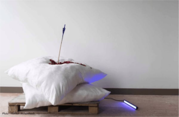 Beya Gille Gacha, La mort du Kama , 2020