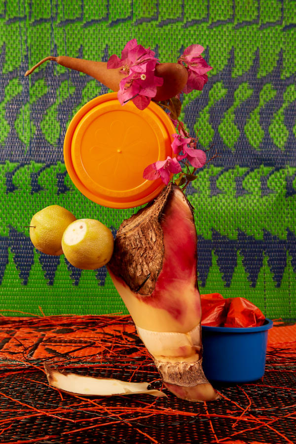 Lorenzo Vitturi, Banana Tree, Bougainvillea and Green