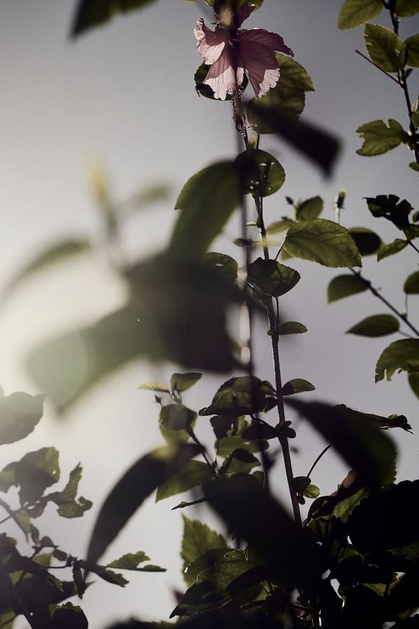 Adler Guerrier, Untitled (A place to stand and stare; Aubade East–Today’s the day, I can taste it / This morning there ain’t nothing I can’t do), 2023