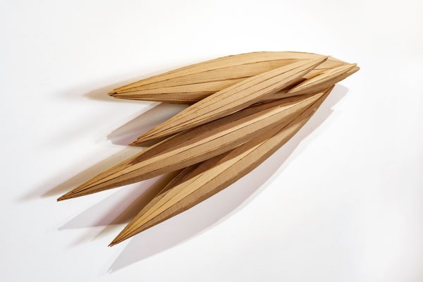 Dean Pulver, Flight, 2016