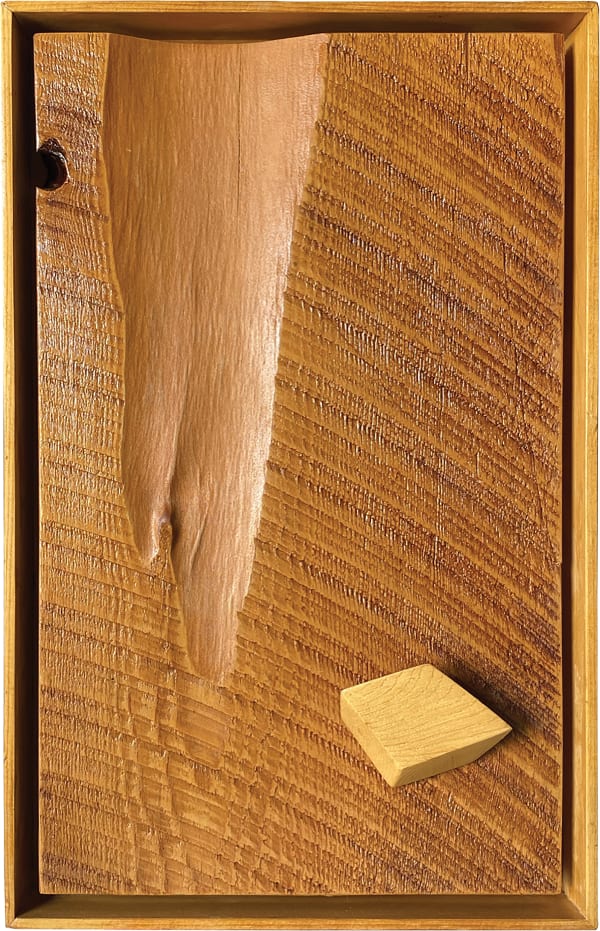 Ronald Davis, Cedar Slab, 1994