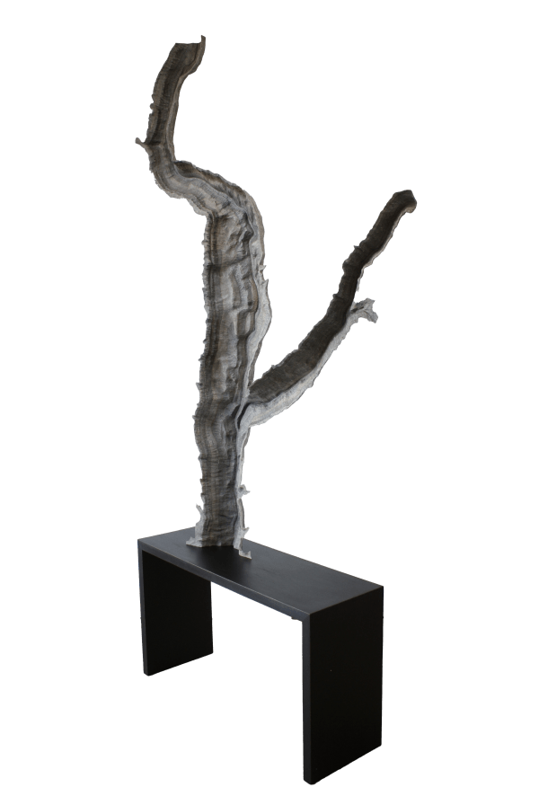 Dean Pulver, Wild and Scenic, 2024