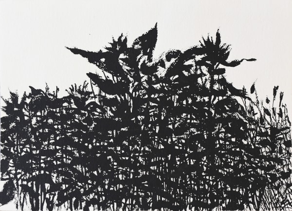 Wesley Rusnell, Untitled (Black and White)