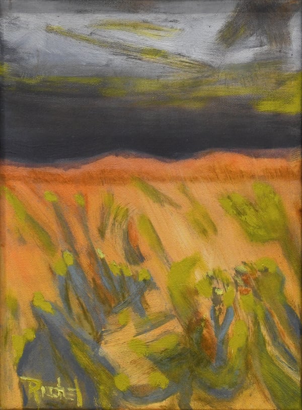 Shaun Richel, Chamisa Bloom, 2025