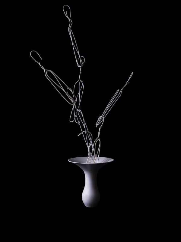 anothermountainman 又一山人, i see ikebana. they are ikebana. 17《我看花。便是花。17》, 2024