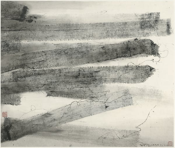 Wang Huangsheng 王璜生, Tracing Vision 171120《痕象171120》, 2017