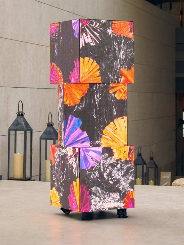 Henry Chu 朱力行, Stone and F10W3R: Sunrise Sunset, Flowers Wither Flowers Bloom 石與花：日昇日落，花謝花開, 2024