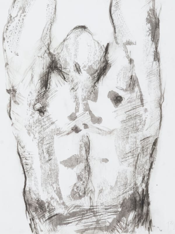 Chloe Ho 何鳳蓮, Rising《上升》, 2013