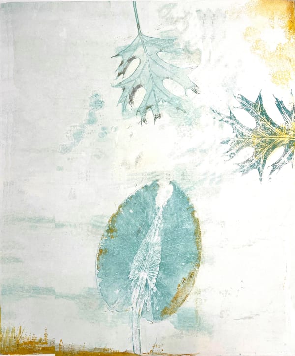 Laurie Dolphin, FLOATING WATER LILIES, 2025