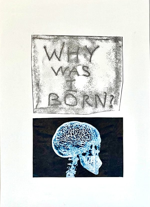 Laurie Dolphin, WHY WAS I BORN?, 2019