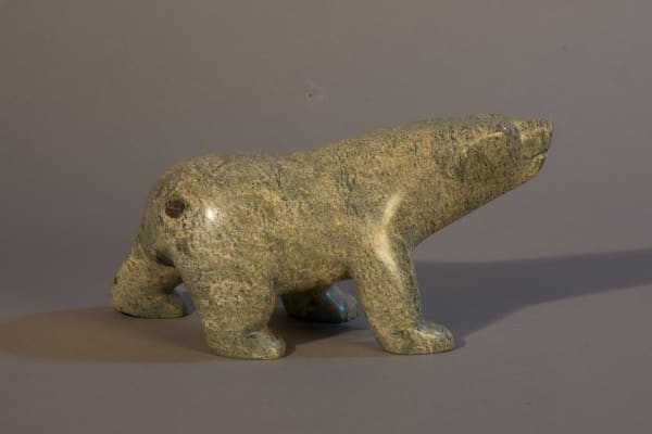 Peter Parr, Polar bear / ours polaire