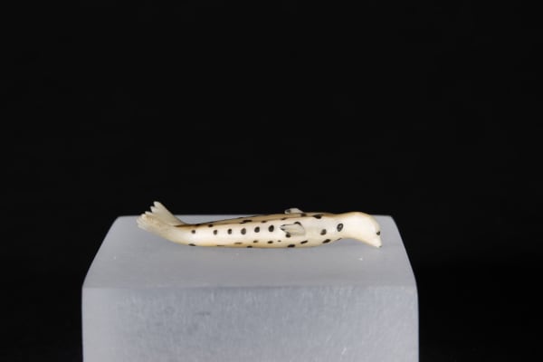 Unidentified Nunatsiavut / Non-identifié Nunatsiavut, Seal / phoque, Ca. 1890-1900